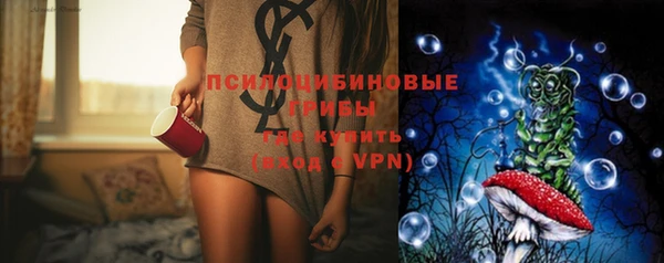 ПСИЛОЦИБИНОВЫЕ ГРИБЫ Белоозёрский