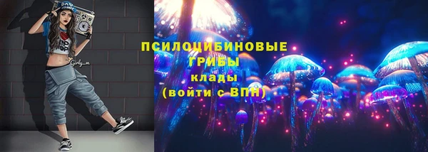 эйфоретик Богородск