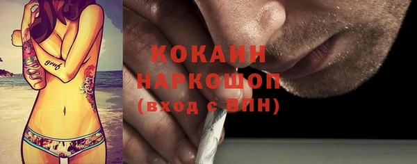 винт Богданович
