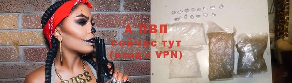 винт Богданович