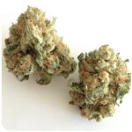 Шишки "White Widow"  (Белая вдова)  Гидропоника -  Бошка VHQ в Бокситогорске